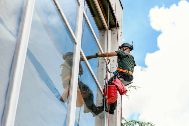 Best Skylight Installation  in USA